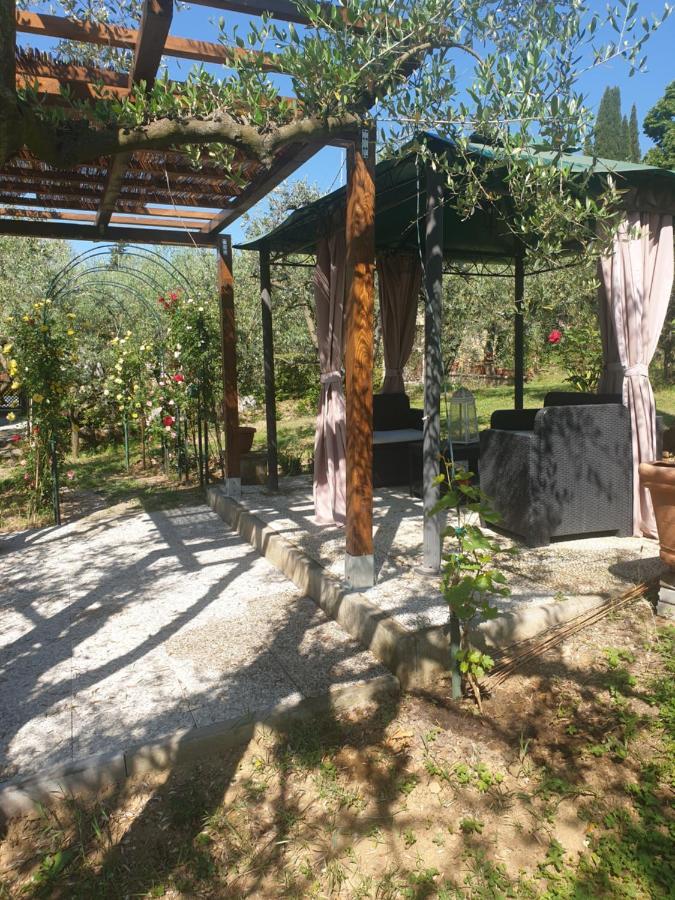 Casa Vacanze L'Oliveta Siena Kültér fotó