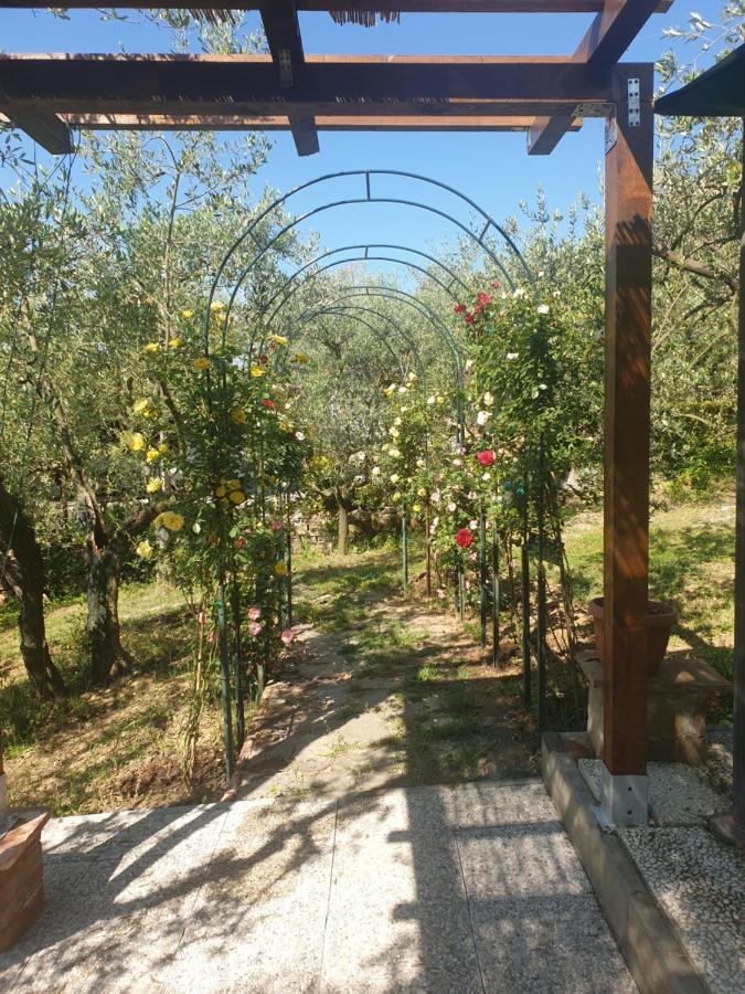 Casa Vacanze L'Oliveta Siena Kültér fotó