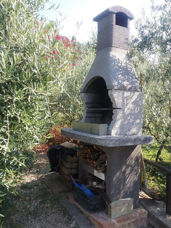 Casa Vacanze L'Oliveta Siena Kültér fotó