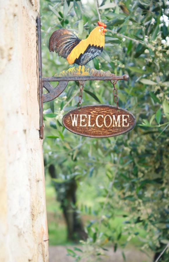 Casa Vacanze L'Oliveta Siena Kültér fotó